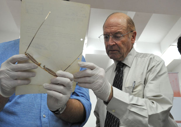 “Срамно једначење Христа и Степинца”: Прoфесор Гидеон Грајф решен да свету предочи страхоте НДХ